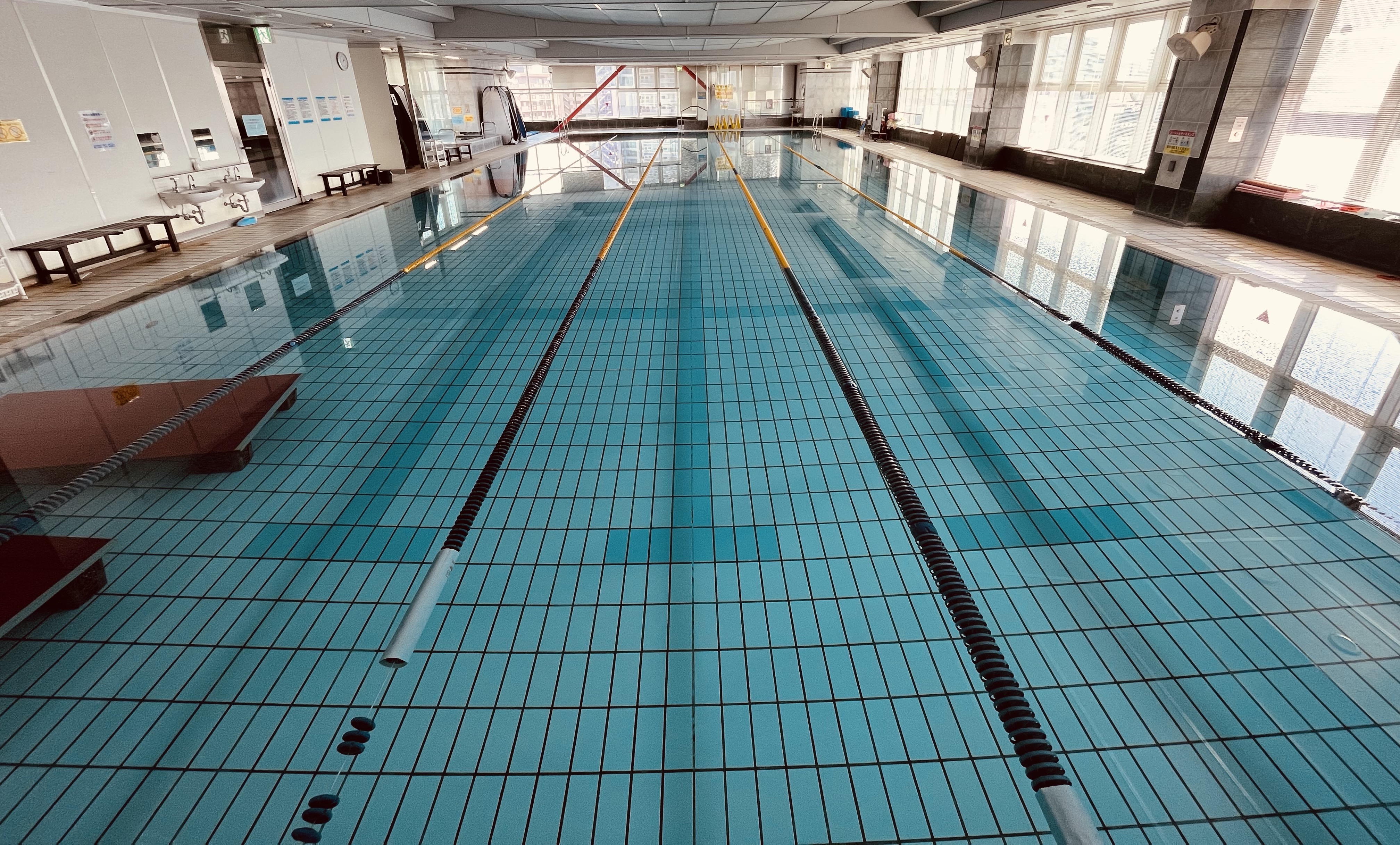 広々とした明るいプール